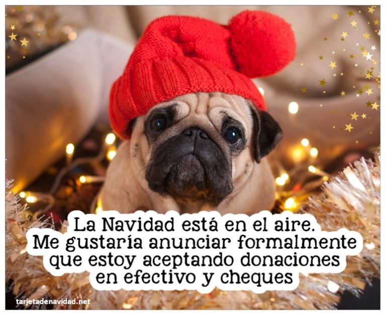 frases de navidad para amigos chistosas