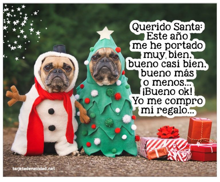 imagenes de navidad con frases chistosas