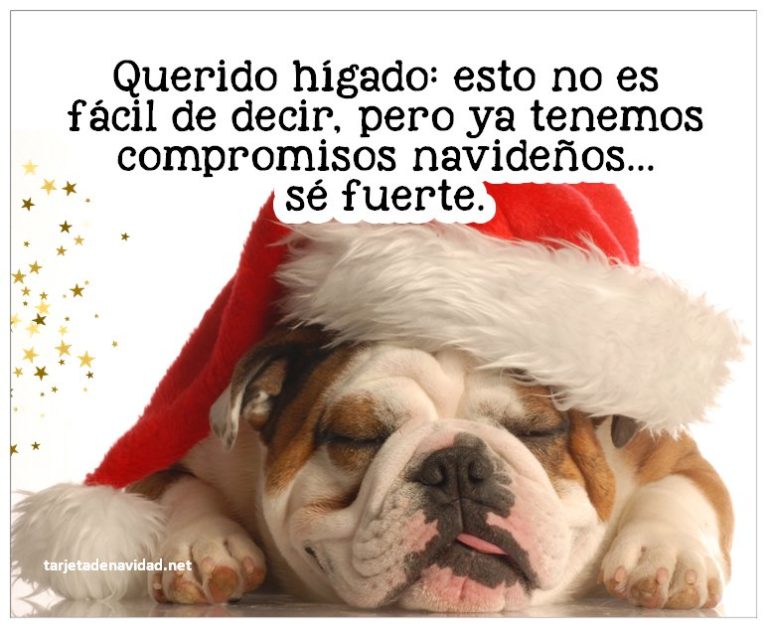 frases de navidad chistosas para whatsapp