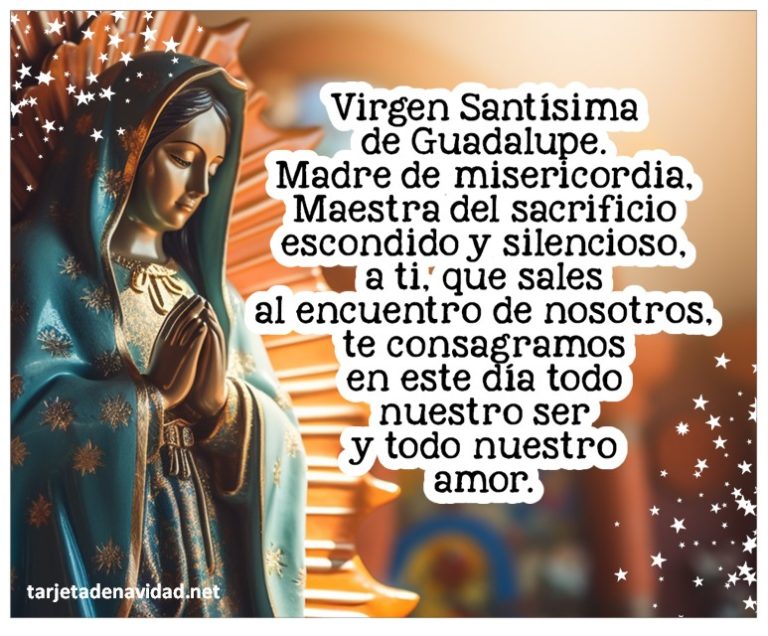 virgen de guadalupe con frases