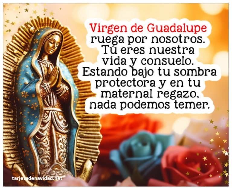 frases bonitas ala virgen de guadalupe