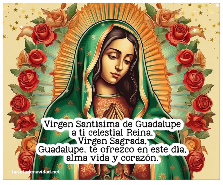 Madre Mía De Guadalupe Madre Del Verbo Divino tarjetadenavidad.net